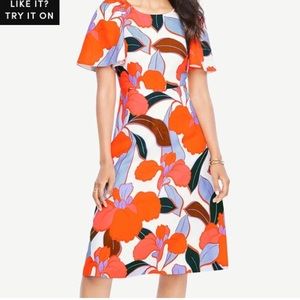 Ann Taylor petite bold blooms dress